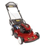 Personal Pace Recycler 22 in. Variable Speed Self-Propelled Electric Start Gas Lawn Mower with Briggs & Stratton Engine